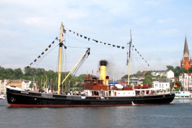 Die Bussard