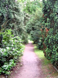 Auf dem Alten Friedhof